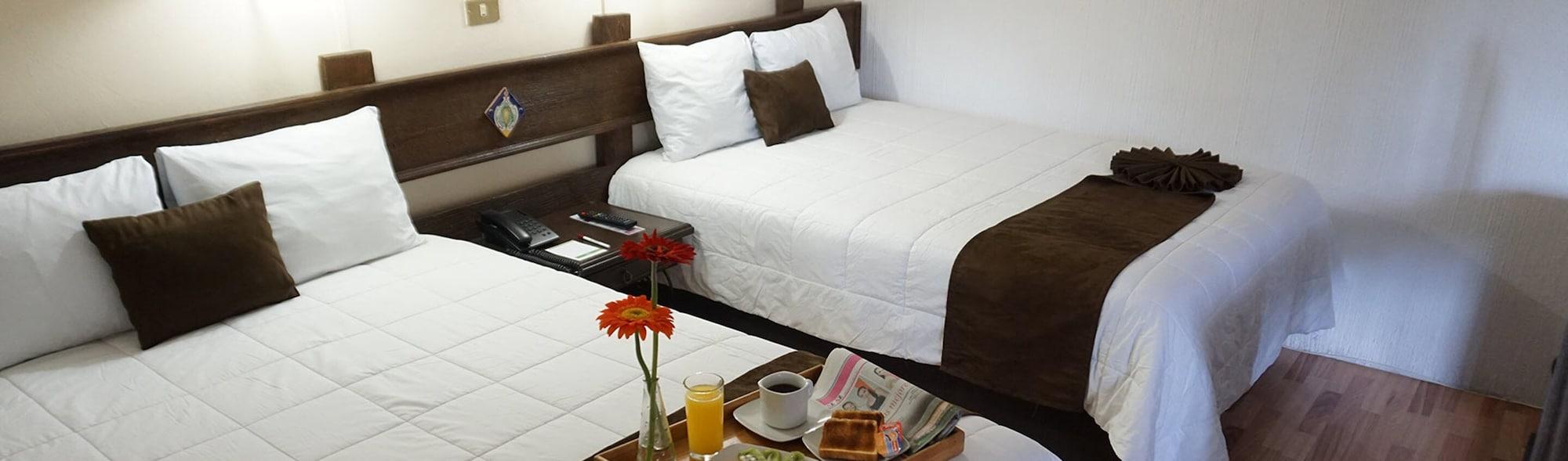 Mision Plaza De Convenciones Hotel 4*